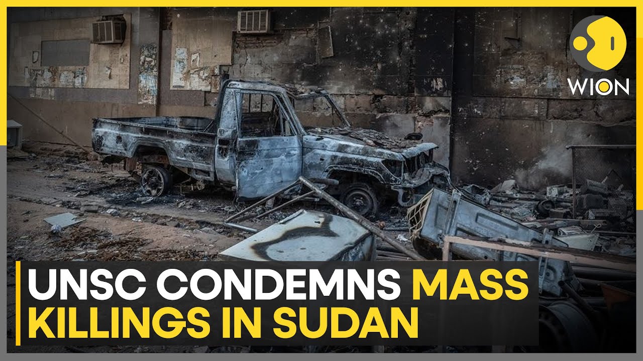 Sudan Crisis: Widespread Outrage After 460 People Killed At El-Fasher Hospital | WION