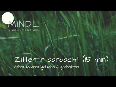 Zitten in aandacht - Adem, lichaam, geluiden & gedachten  (15 min)