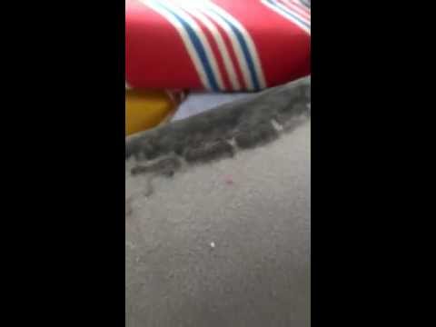 Cleaning with BIOSATIVA – Car Seat