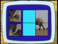 Go Diego Les éléphants NICKELODEON JUNIOR