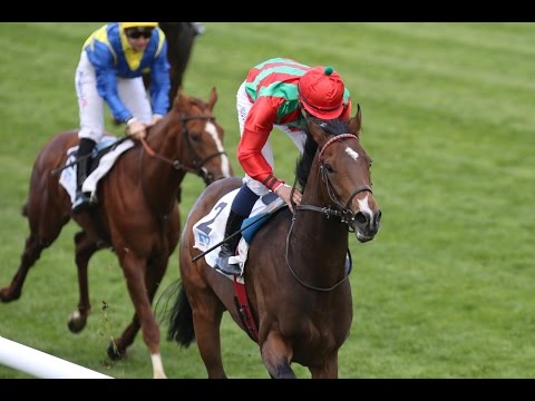 Hannover: Grosser Preis der Hannoverschen Volksbank - Derby Trial (Listenrennen) - Sieger: Boscaccio