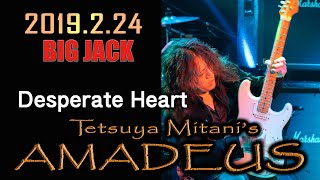 Desperate Heart　　Tetsuya Mitani&#39;s AMADEUS