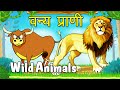 Let&#;s Learn About Wild Animals - Preschool Learning in Marathi |
Types Of Domestic Animals