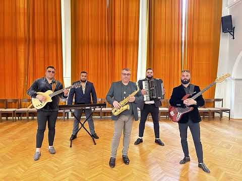 Gipsy Mercedes  -  Fox - av ča čaje -   2024