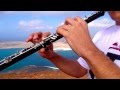 Born To Die - ( Oboe Cover ) Lana Del Rey / Toms ...