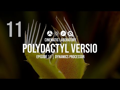 Polydactyl Versio | Platform Episode 11 | Dynamics Processing