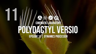 Video thumbnail for Polydactyl Versio | Platform Episode 11 | Dynamics Processing by Cinematic Laboratory
