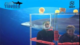 DIA 3 Expo Tiburon192