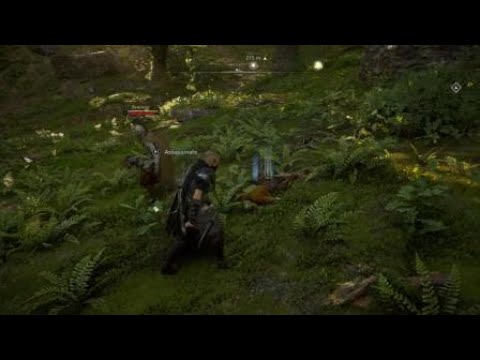 Roadside battle (Assassin's Creed: Valhalla)