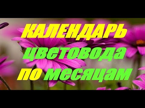 Календарь цветовода по месяцам