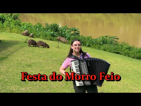 Festa Do Morro Feio - Malu Gaiteira - Cover - Os Bertussi