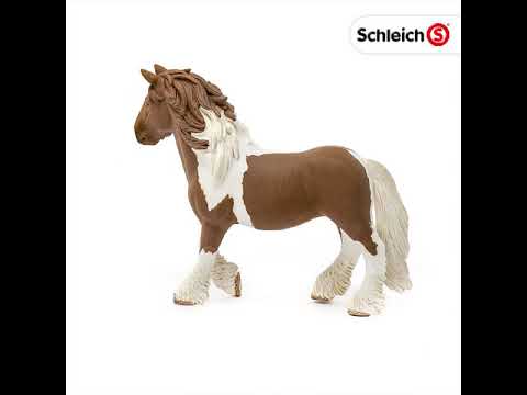 Schleich figūrėlė Tinkerio kumelė video