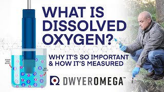 What is Dissolved Oxygen - Why is it Important - And How is it Measured