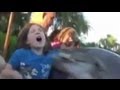 Dolphin Bites Child: Orlando Seaworld Dolphin ...