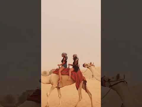 Camel Ride 🐫| Dubai | UAE