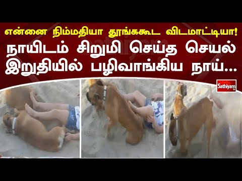 என்னை நிம்மதியா தூங்ககூட விடமாட்டியா! நாயிடம் சிறுமி செய்த செயல் - இறுதியில் பழிவாங்கிய நாய் | Dog