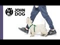 Jak Nauczyć Psa Chodzenia Przy Nodze TRENING PSA John Dog