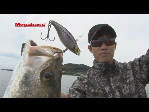 Vobler Megabass CutVib 55HW 5.5cm 13g GP Haku Bora S