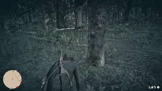 RDR2 5周目 #144