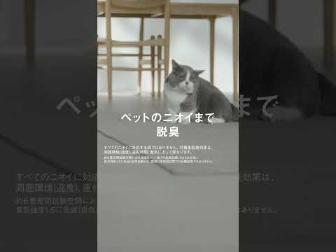  SOS: 苗にカビが発生しました!彼らを救えるでしょうか？やり方は？  庭園