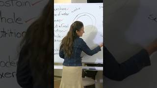 Download lagu CELTIC SALT: The Quickest Way To Hydrate The Body | By Barbara O'Neill Lectures | YouTube Series. mp3 Download lagu CELTIC SALT: The Quickest Way To Hydrate The Body | By Barbara O'Neill Lectures | YouTube Series. mp3