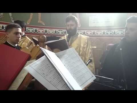 IPS Ciprian - Raspunsurile mari 22.02.2015