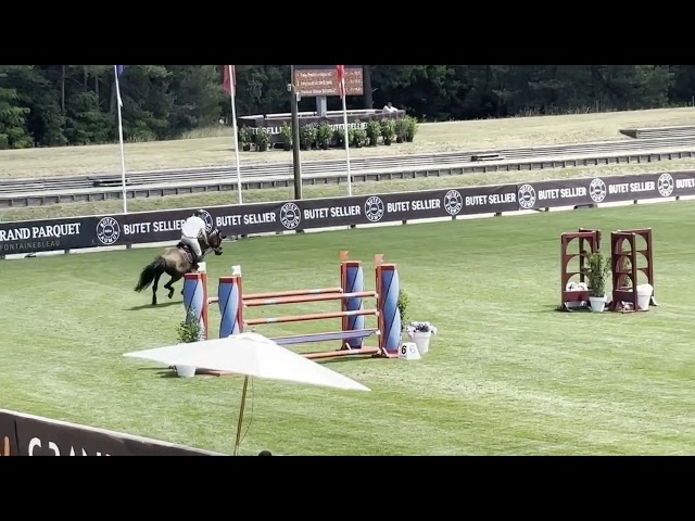 Top hongre 7 ans (2018) SF 140 TOP 7 