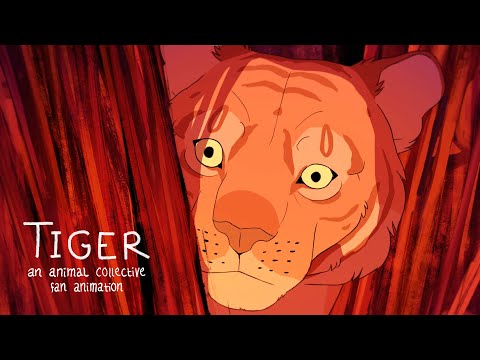 TIGER | Animated short film | Application MMA FH Salzburg 2019