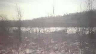 The Last Leaf Of Summer by M Craft