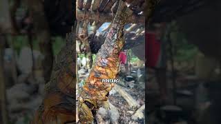 Download lagu grilling fish in the forest and being visited by a tiger?! mp3 Download lagu grilling fish in the forest and being visited by a tiger?! mp3