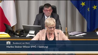 Marlies Steiner-Wieser - Gewerbliches Sozialversicherungsgesetz - 18.12.2025