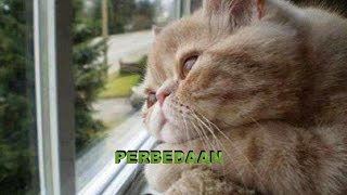 Download lagu PERBEDAAN---(REMIX HOUSE) mp3