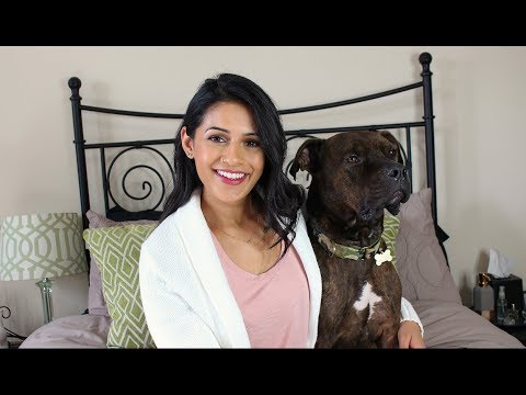 HAVING PETS AS A GRAD STUDENT