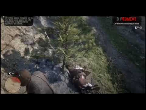 My horse died 10/26/18