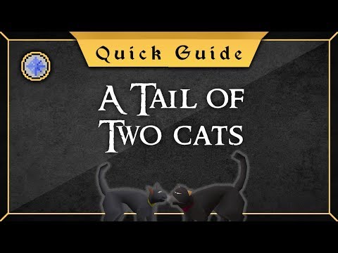 [Quick Guide] A tail of two cats