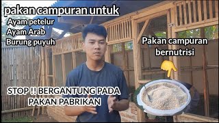 Download lagu Pakan Campuran untuk Ayam Petelur || Ayam petelur,Ayam Arab dan Burung Puyuh mp3