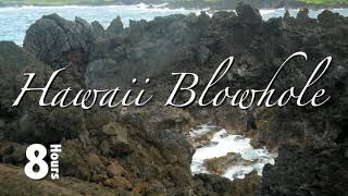 Watch the water flow through the blowhole/Listen to the sound of the splash/Sleep, relax or meditate