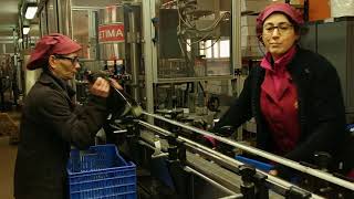 Espumante Terras do Demo,Moimenta da Beira (Reportagem)