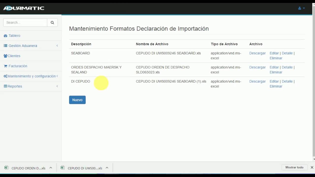 FORMATO DECLARACIÓN DE IMPORTACION