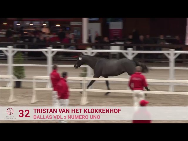 TRISTAN VAN HET KLOKKENHOF