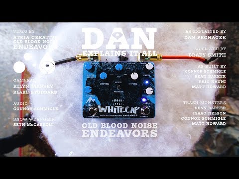 Dan Explains It All - Whitecap Asynchronous Dual Tremolo