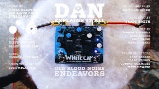 Video thumbnail for Dan Explains It All - Whitecap Asynchronous Dual Tremolo by Old Blood Noise Endeavors