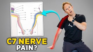 C7 Nerve Root Pain Explained + 4 Exercises to Help Relieve Symptoms