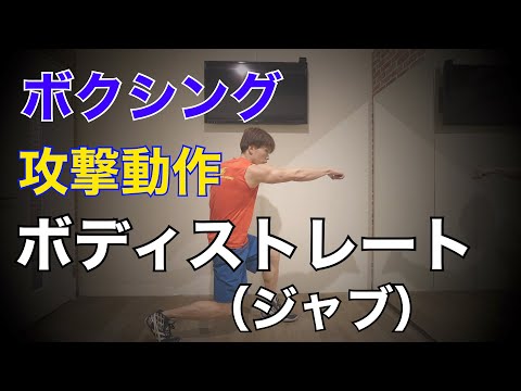 ボディストレート（ジャブ）の打ち方 攻撃動作 ボクシング 格闘技