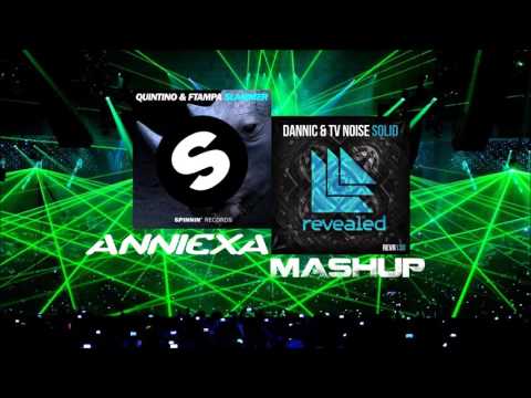 Quintino & FTampa vs Dannic & TV Noise - Slammer Solid (Anniexa Mashup)