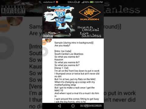 Kausion Feat Ice Cube-What You Wanna Do Cover.