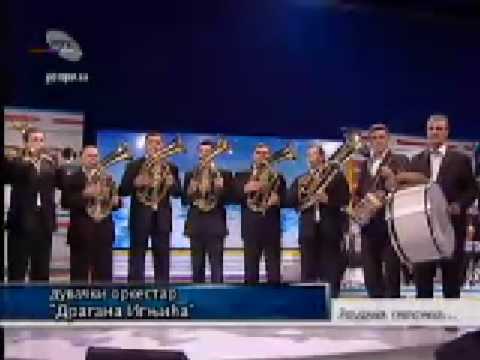 Orkestar Dragana Ignjica Uzice-SERBIA