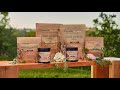 Nutrilite Organics Vitamins And Supplements Amway