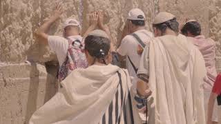 דניאל סעדון - מגילת איכה | Daniel Saadon - The Book of Lamentations
