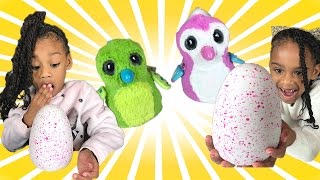 WILL IT HATCH? Hatchimals Surprise Egg